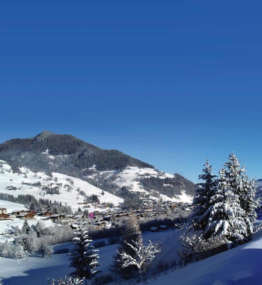 Отель Belambra Clubs Praz-Sur-Arly - L'Alisier Экстерьер фото